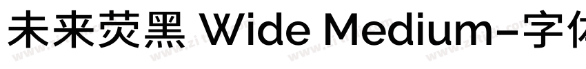 未来荧黑 Wide Medium字体转换
